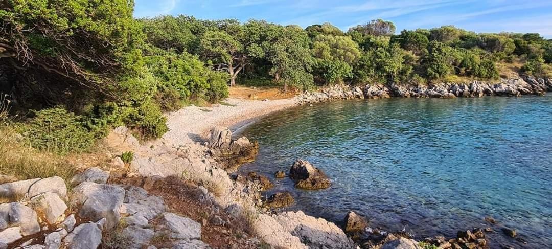 Kuca Za Odmor Denona Apartman Borovići Kültér fotó